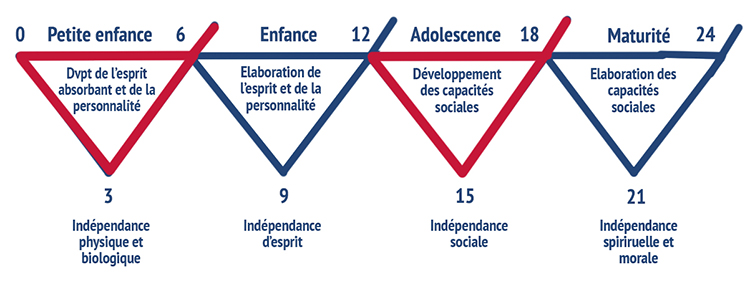 Logiciel de gestion pour école Montessori et qui permet le suivi des compétences des enfants.